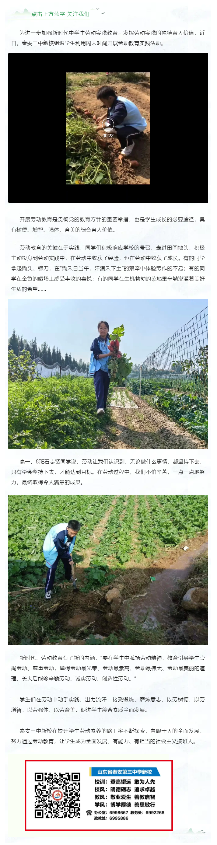 137实践学农忙，劳动助成长：新校开展劳动教育实践活动.png